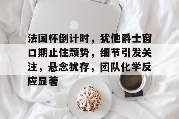 APP下载-法国杯倒计时，犹他爵士窗口期止住颓势，细节引发关注，悬念犹存，团队化学反应显著的简单介绍